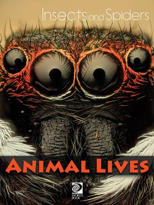 cover image of Insects and Spiders
